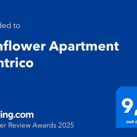 Sunflower Centrico 아파트 타라고나